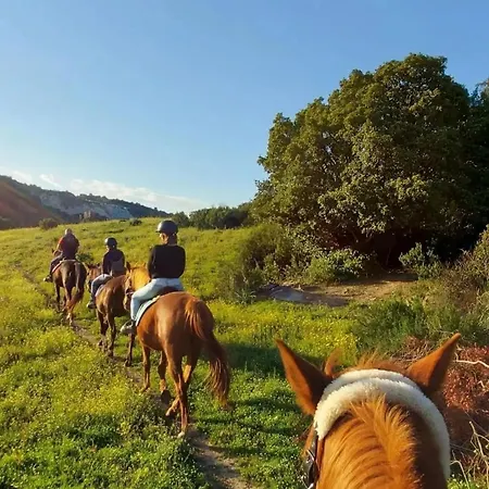 La Casa Dei Nonni Holiday home