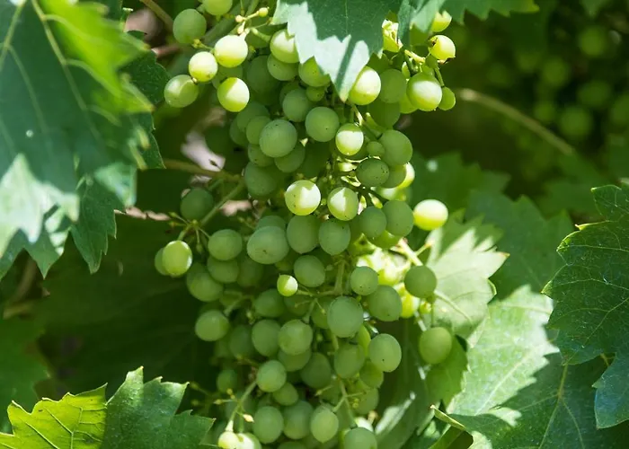 La Casa Dei Nonni Isola del Gran Sasso dʼItalia